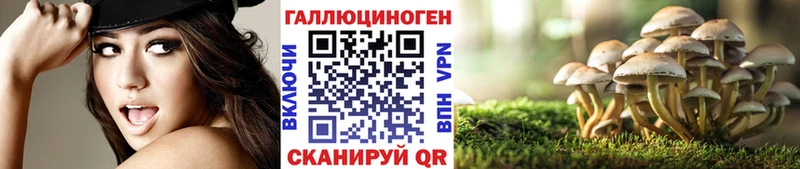 Галлюциногенные грибы MAGIC MUSHROOMS это клад Островной